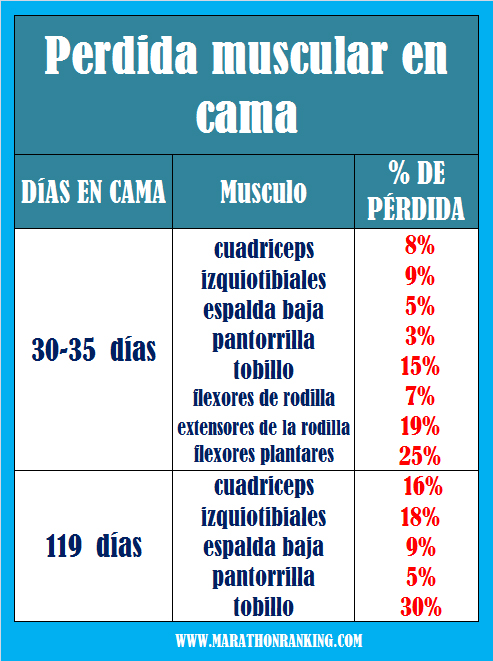 perdida-muscular-marathonranking