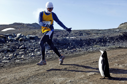 MARATHON-ANTARCTICA