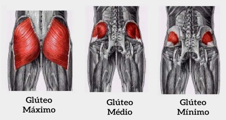 Resultado de imagen para gluteos