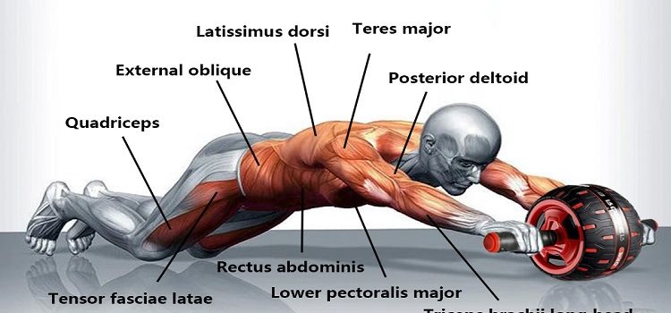 ENTRENAMIENTO PARA CORREDORES