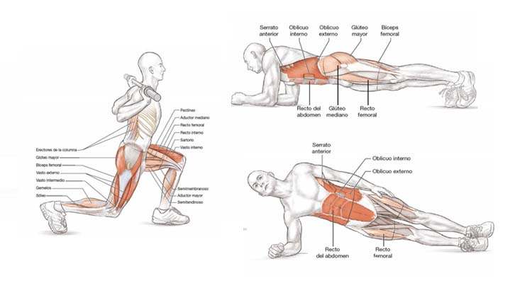 Ejercicios para fortalecer cuádriceps