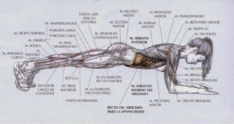 7 EJERCICIOS PARA AUMENTAR LA FUERZA