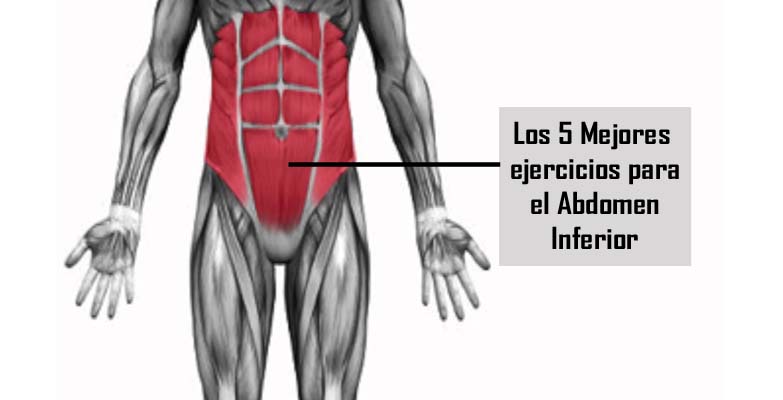 ABDOMEN INFERIOR CORREDOR