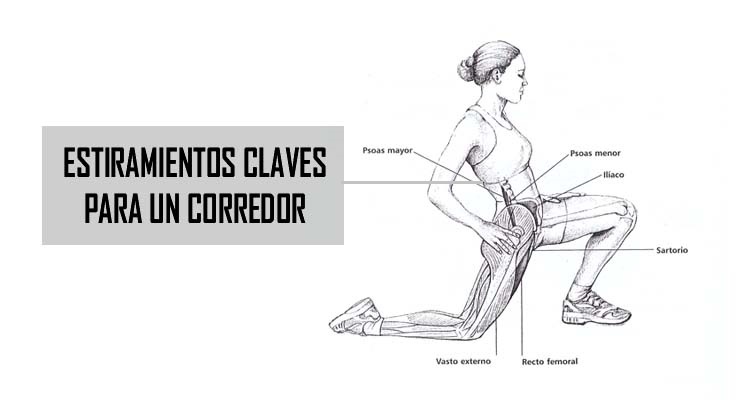 ESTIRAMIENTOS CLAVES PARA UN CORREDOR