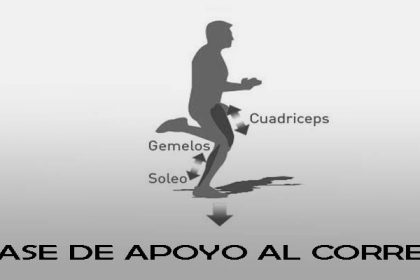 apoyo-recepcion-copia