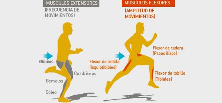 SESIÓN COMPLETA DE COMO CALENTAR