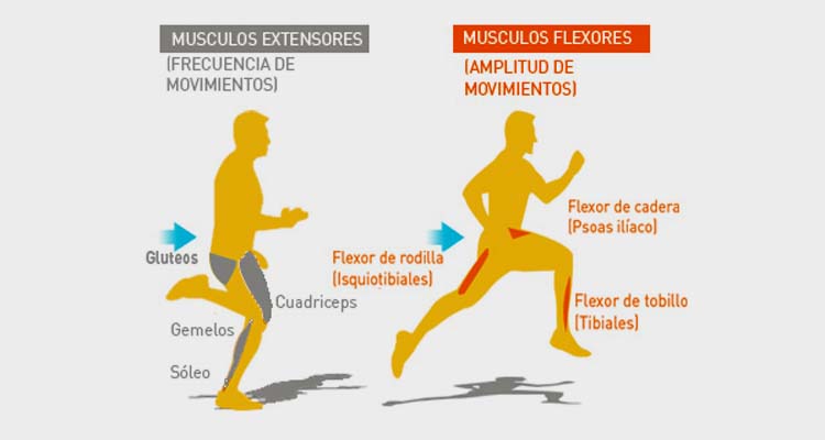 SESIÓN COMPLETA DE COMO CALENTAR