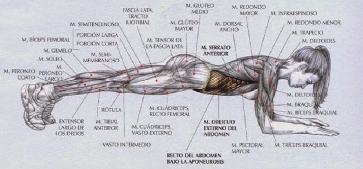 ejercicios para aumentar la fuerza del corredor