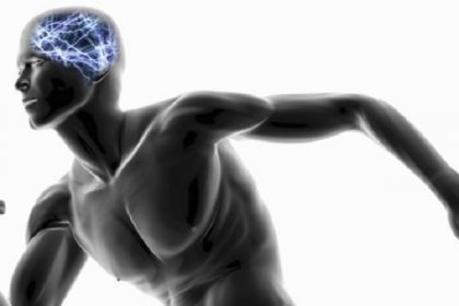 cerebro