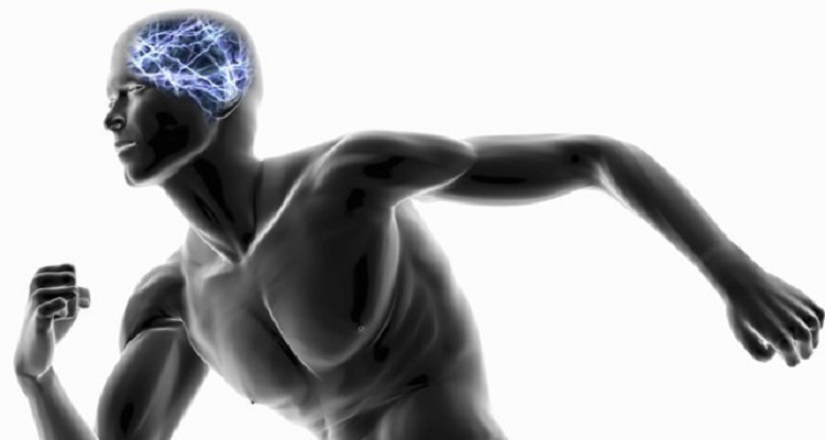 El Running mejora tu cerebro