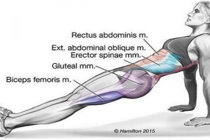 Fitball-Core