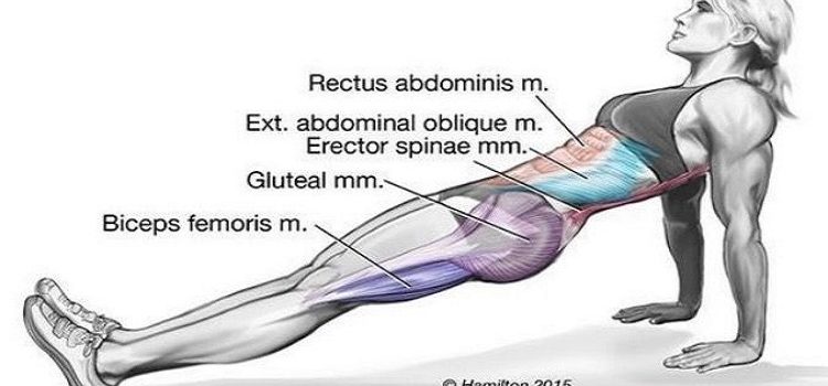 ejercicios fitball