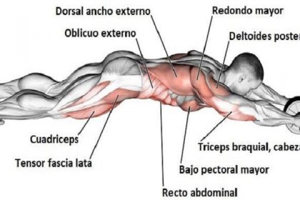 rueda abdominal