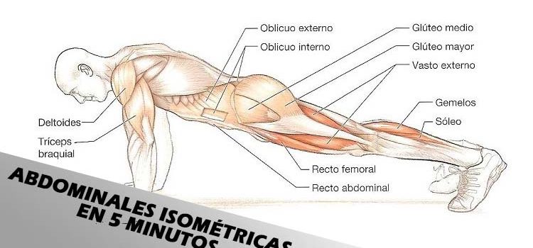 abdominales isometricas