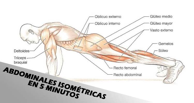 abdominales isometricas