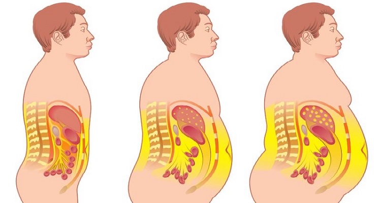 peligro detrás de la grasa abdominal