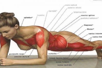 4676f3be536af78983551f6c580fd888–planks-exercise-website