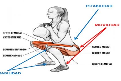 intensidad de sentadillas