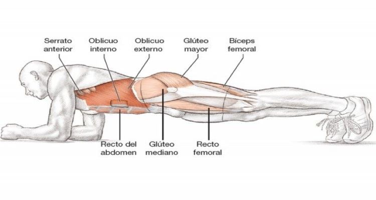 Abdominales estáticos para marcar y endurecer la panza en 5 minutos (VIDEO)