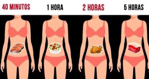 Tabla con el tiempo de digestión de los alimentos