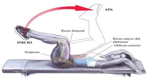 abdominales invertidos