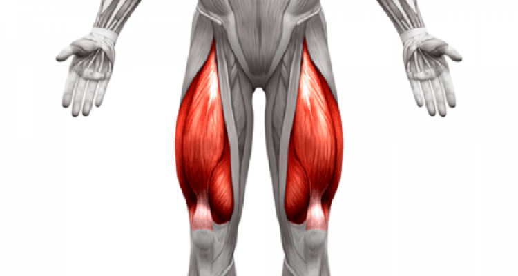 ejercicios cuádriceps sin forzar rodillas